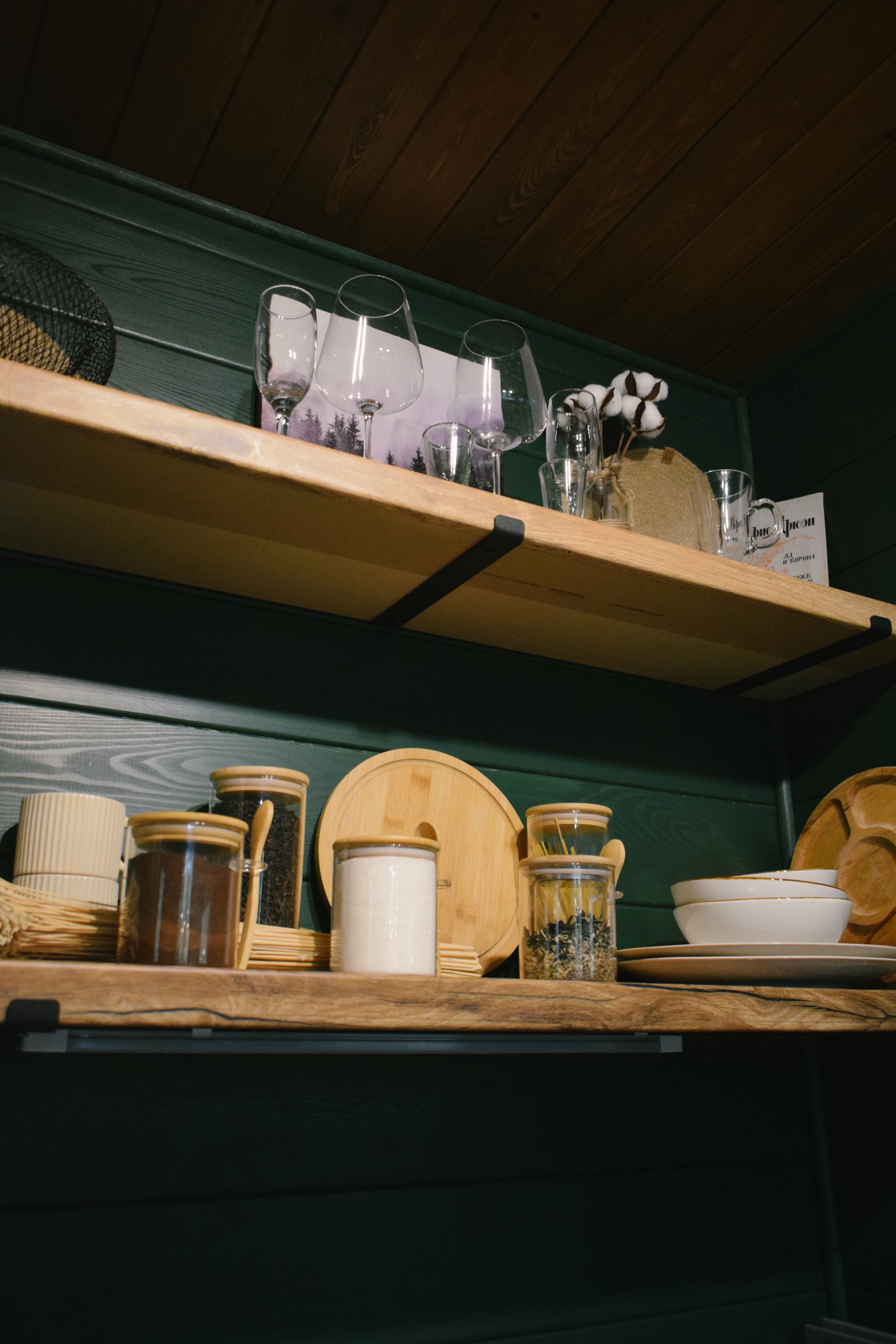 Фото Ёлки да Сосны