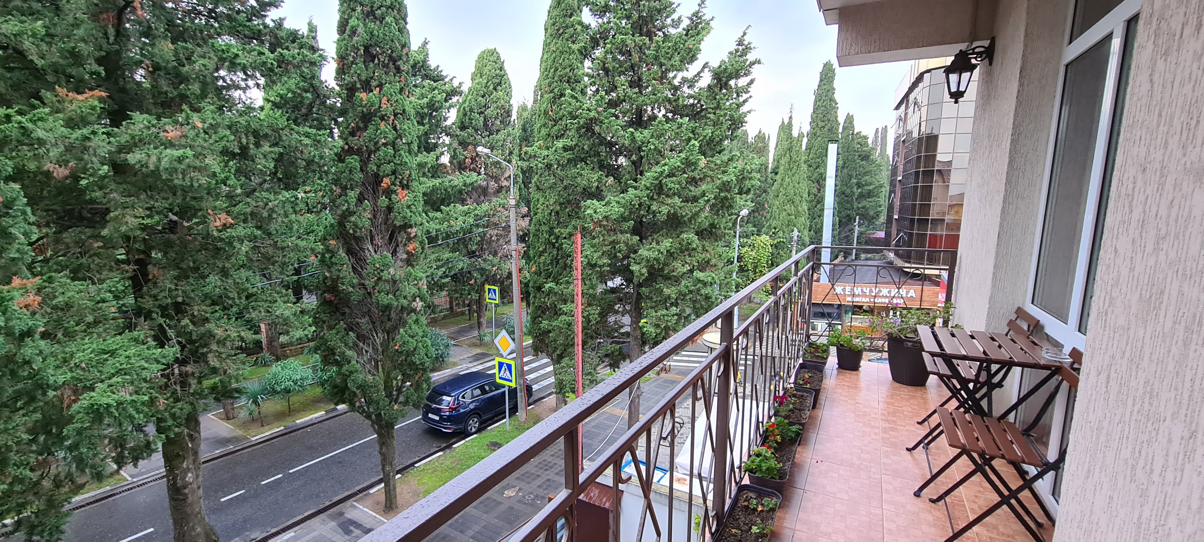 Фото Лаванда