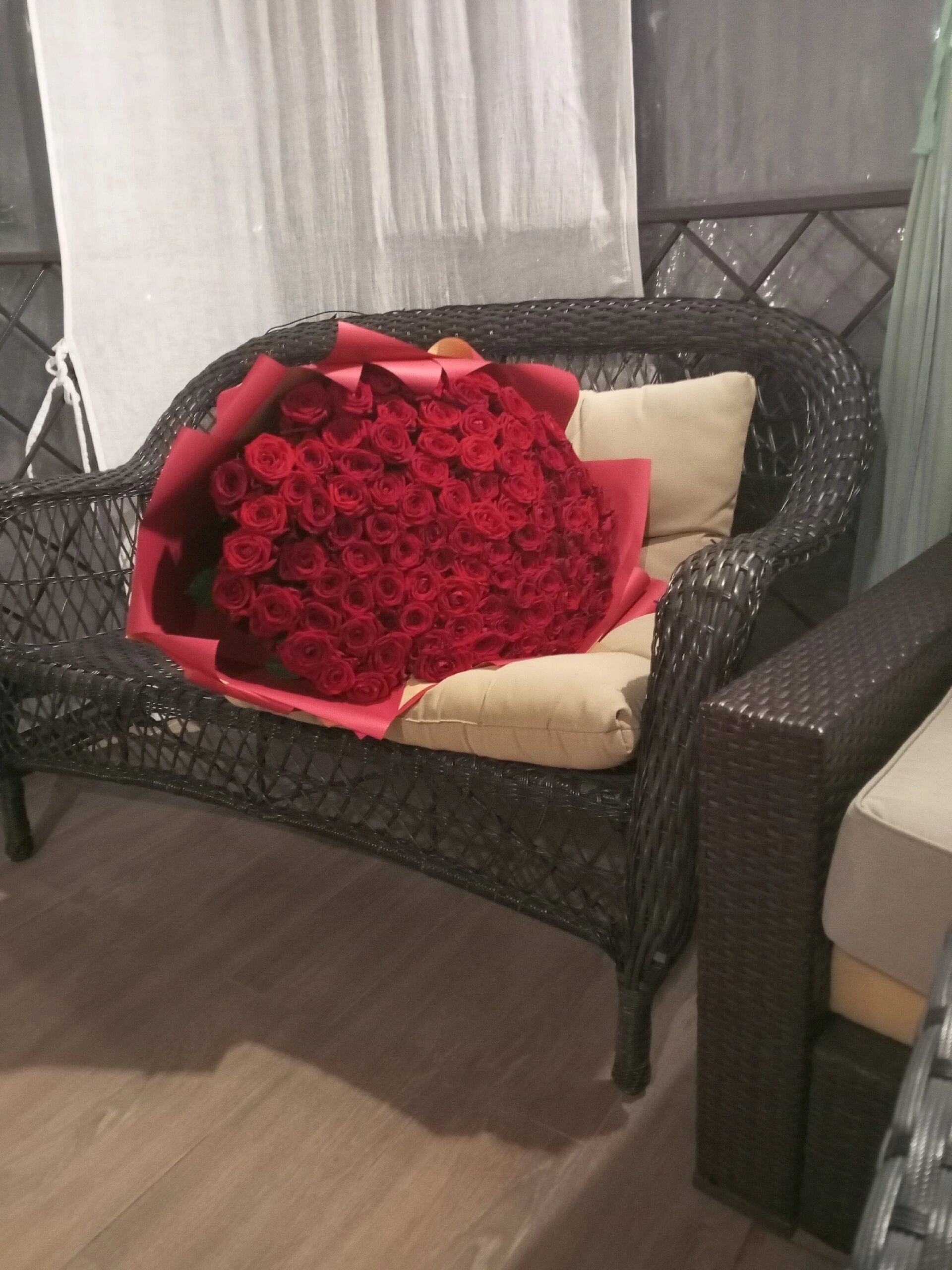 Фото Белые ивы