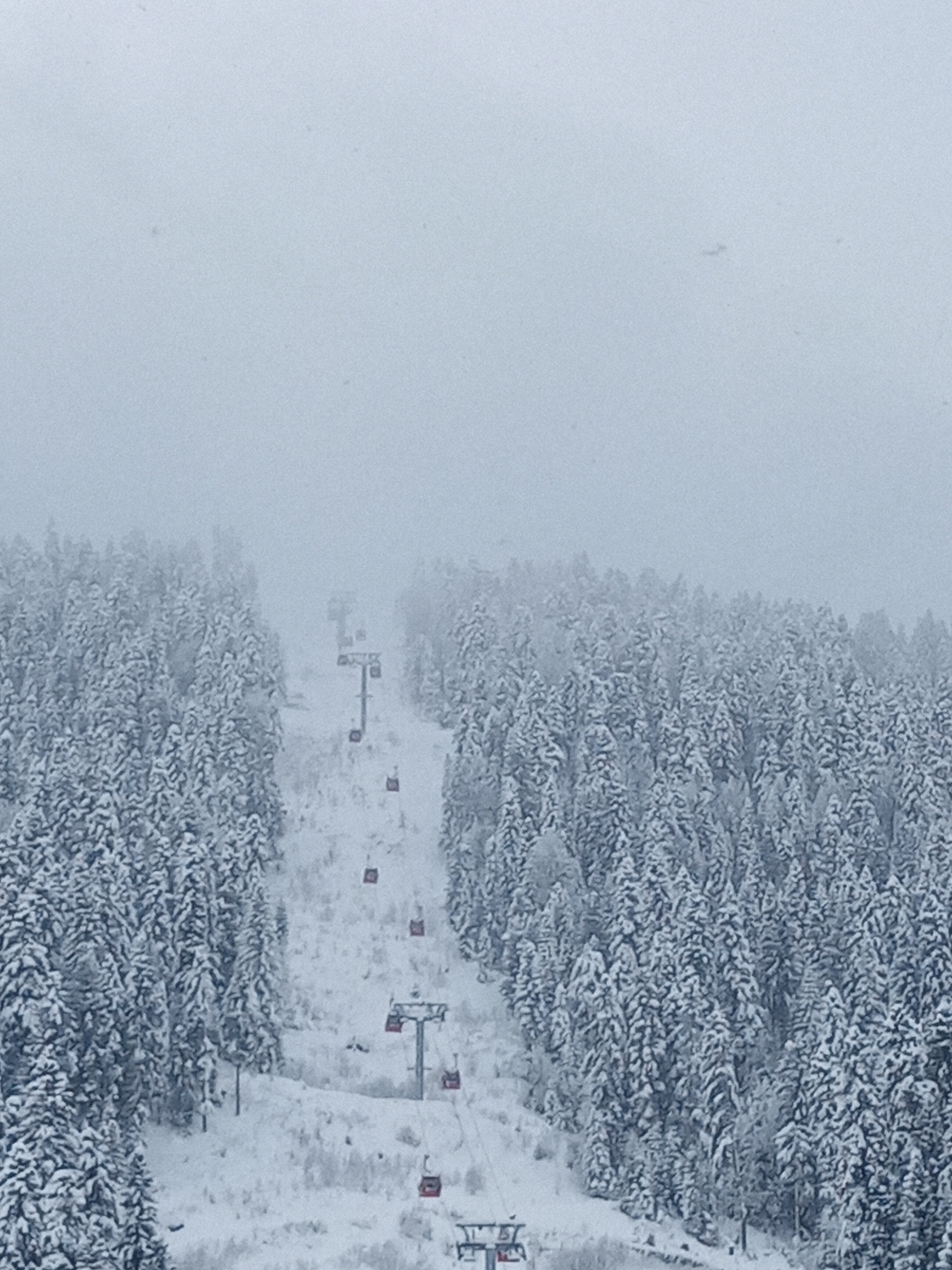 Фото АрхызGreen