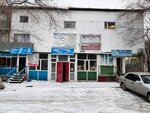 Asyl Ana 2020 (15-shi shaǵyn aýdan, 13) ، منظمات المجتمع