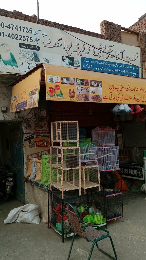Pet shop Naymet Bird feed point, Lahore, photo