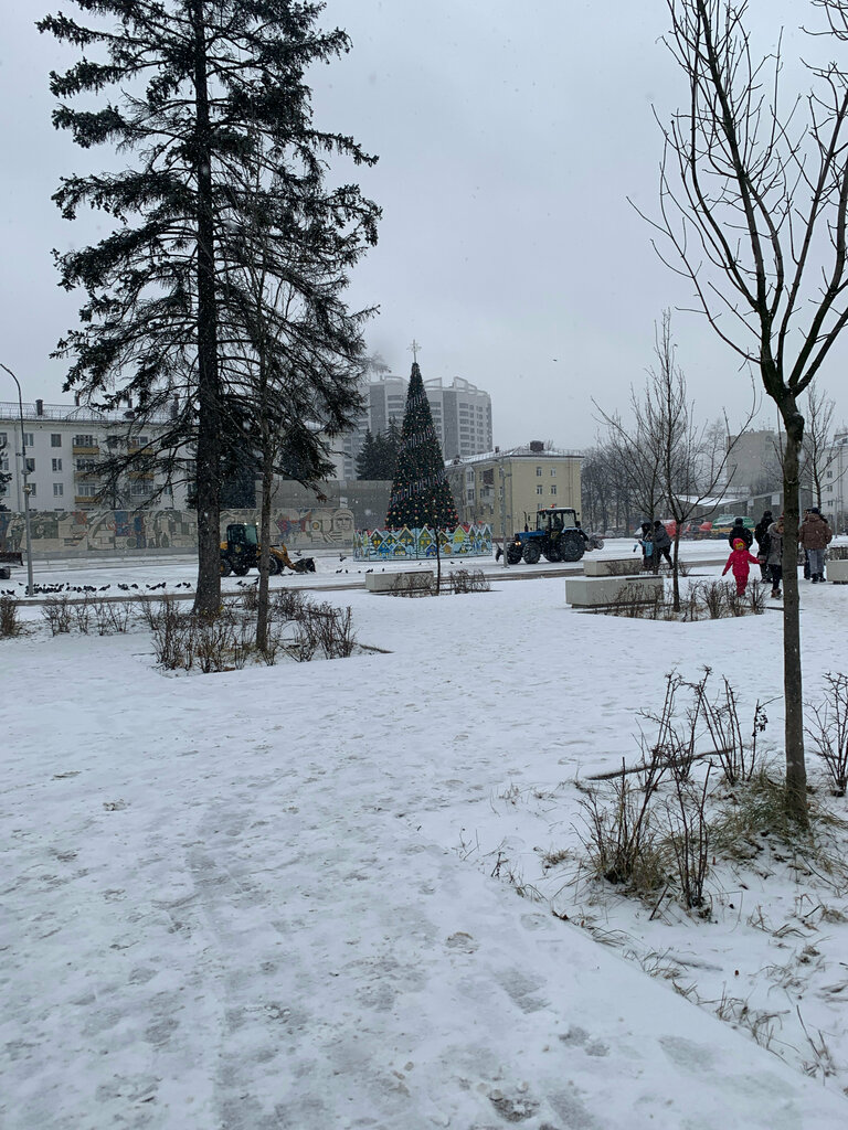 City tree Городская ёлка, Korolev, photo