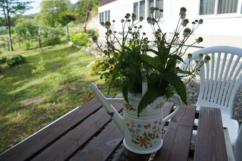 Фото Phytoncide Morinokaori