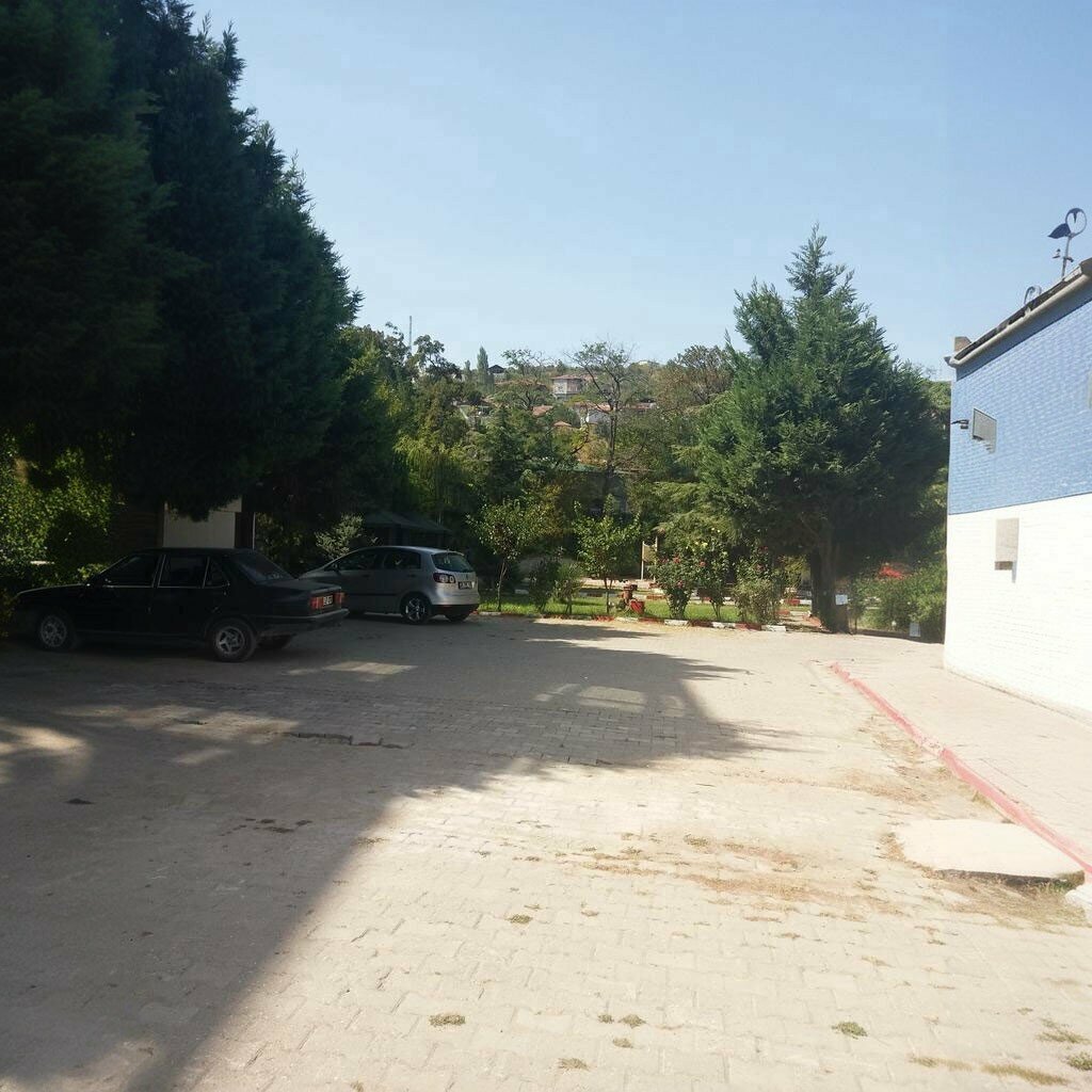 University Sakarya Universitesi Ali Fuat Cebesoy Meslek Yuksekokulu, Geyve, photo