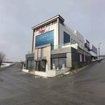 Selay Oyuncak (Istanbul, Arnavutkoy, Mehmet Akif Ersoy Neighborhood, Yildiz Avenue, 31) ، دمى وألعاب