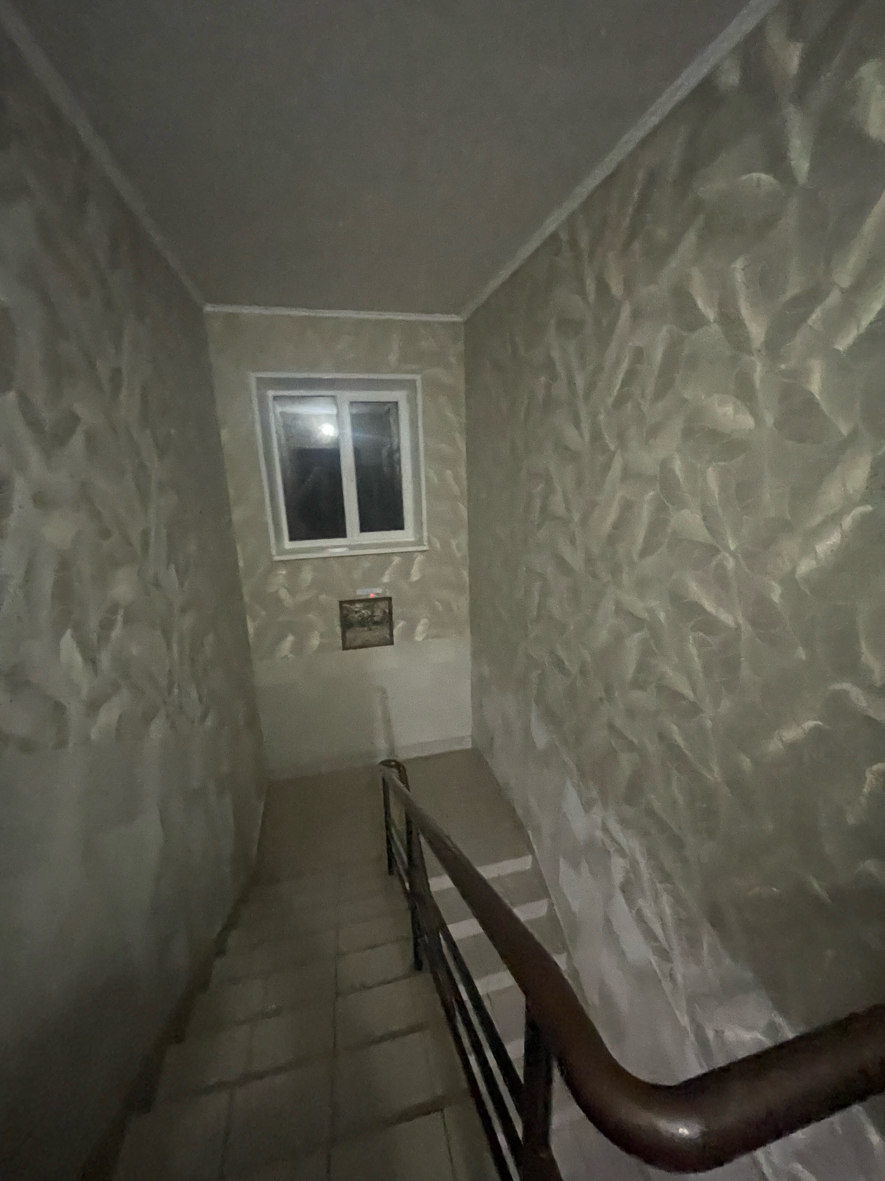 Фото Альянс