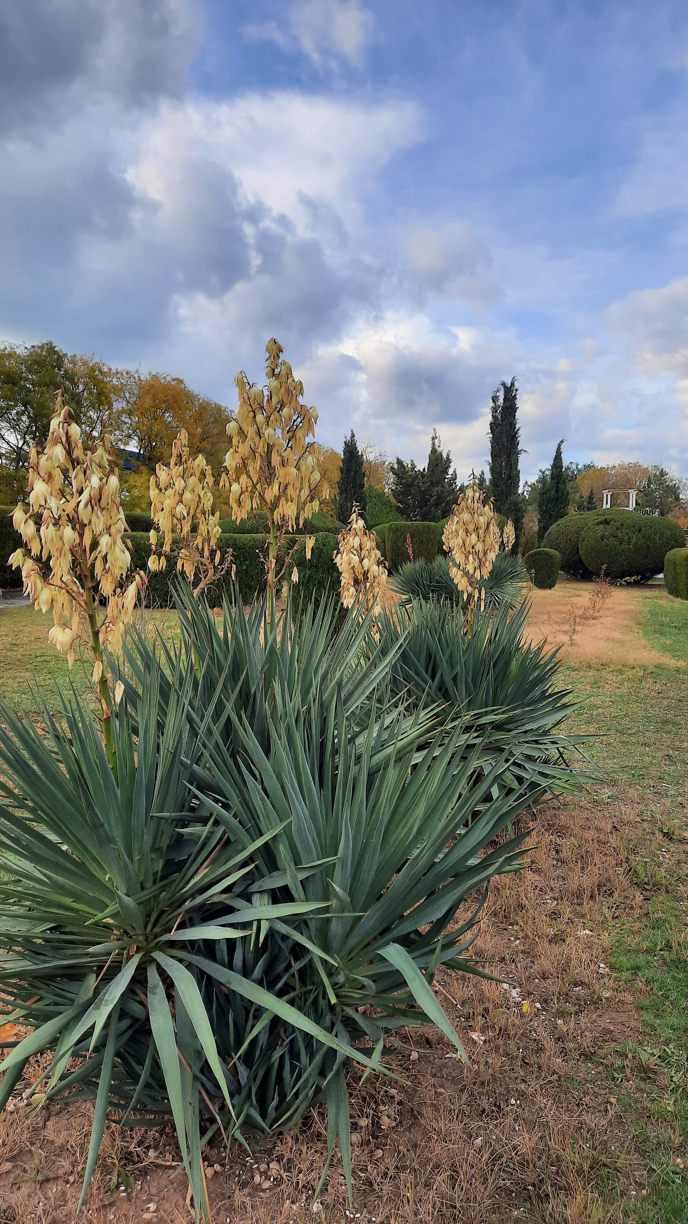 Фото Северный