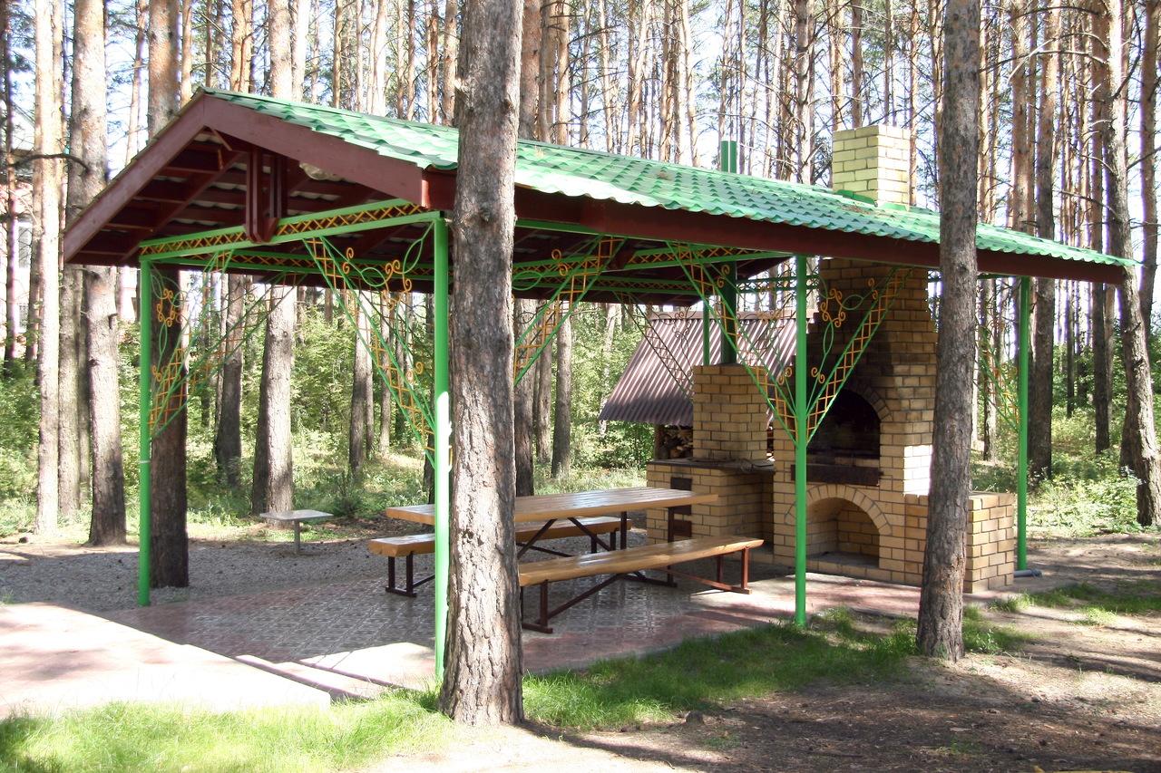 Фото Орхидея