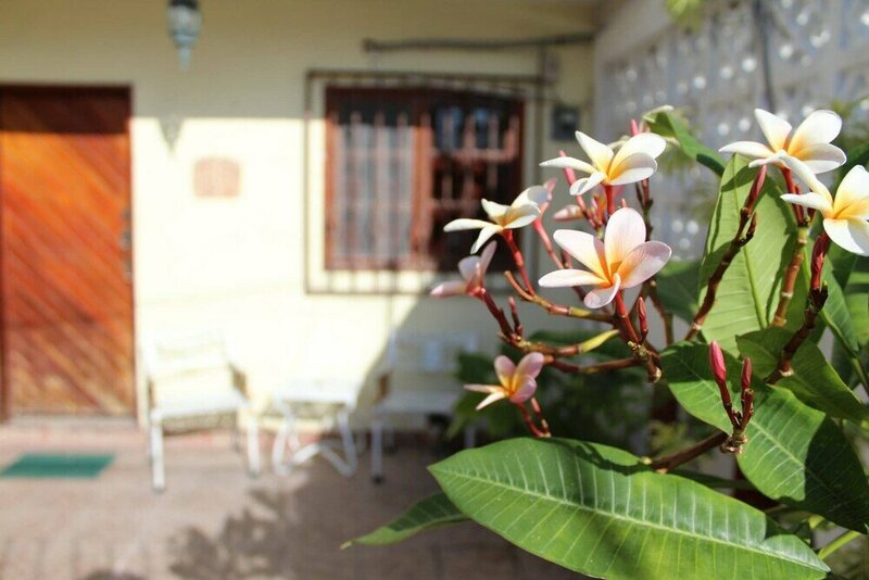 Гостиница Cancun Guest House 3 Near Ado bus Terminal and 25 min Fromto Airport by Shuttle в Канкуне