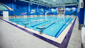 Fitness House (Shuvalova Street, 11) ، نادي اللياقة البدنية