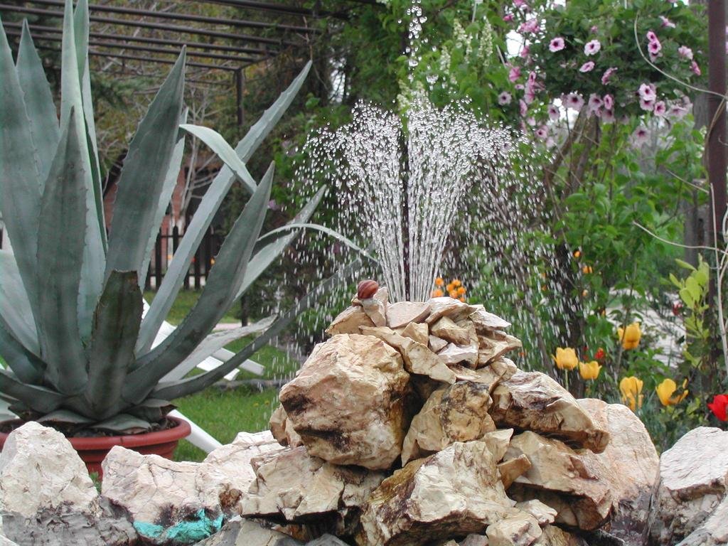 Фото 155849537155