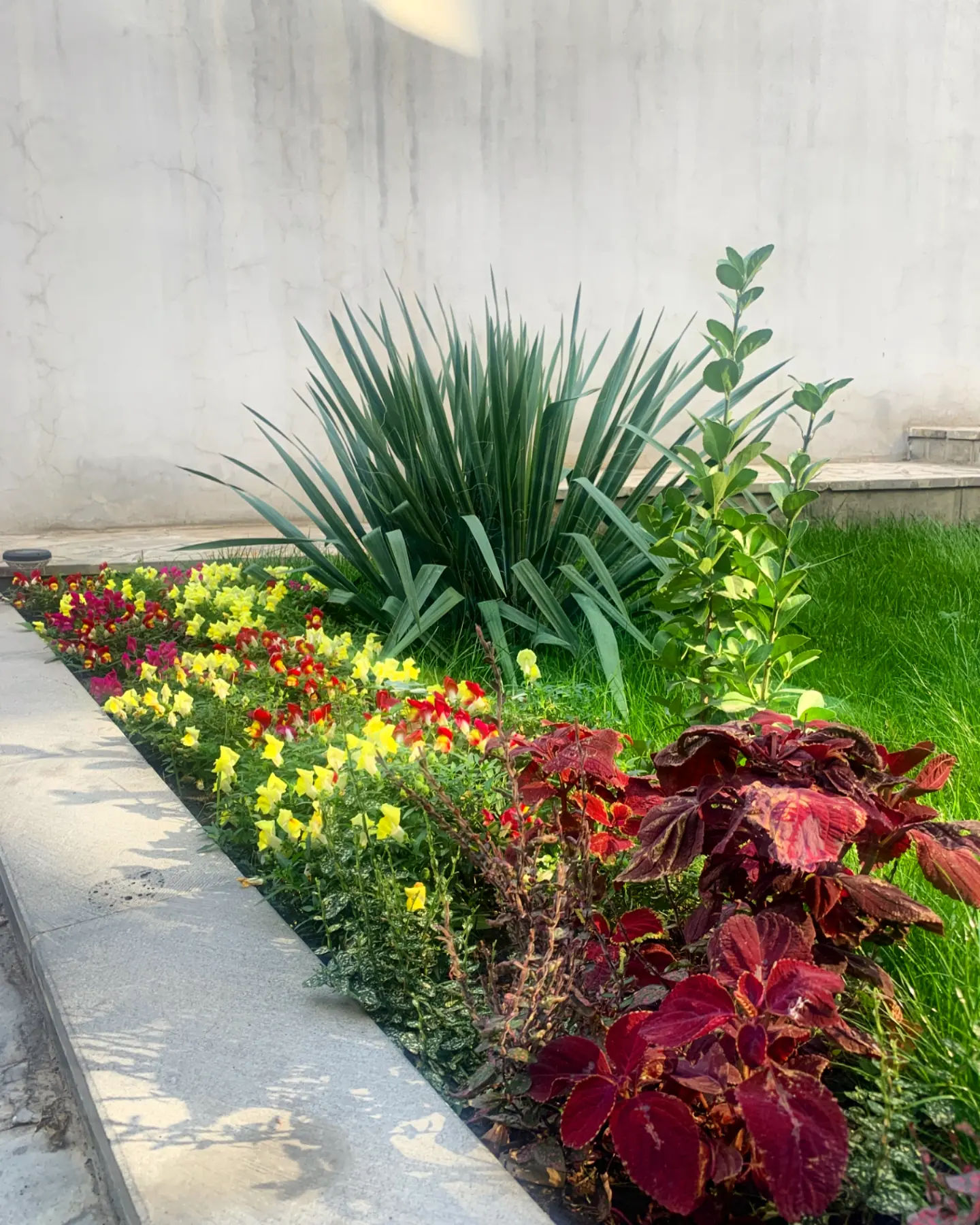 Фото Blur Inn Gallery