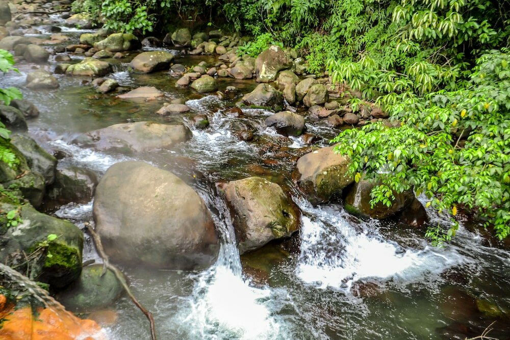 Фото Hotel El Tucano Resort & Thermal SPA