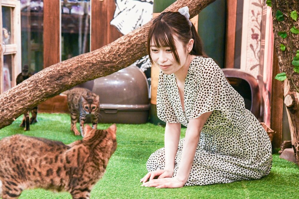 Фото Yufuin Floral Village Hotel