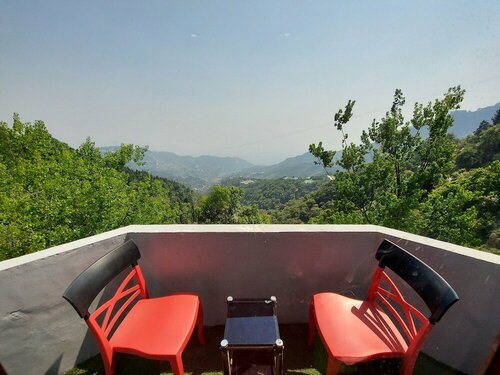 Гостиница Hotel Forest View by Dl Hotels в Массури