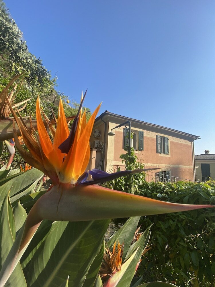 Фото Pensione Sorriso