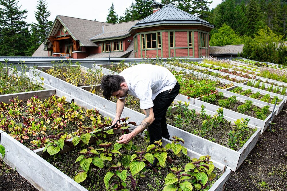 Фото Nita Lake Lodge