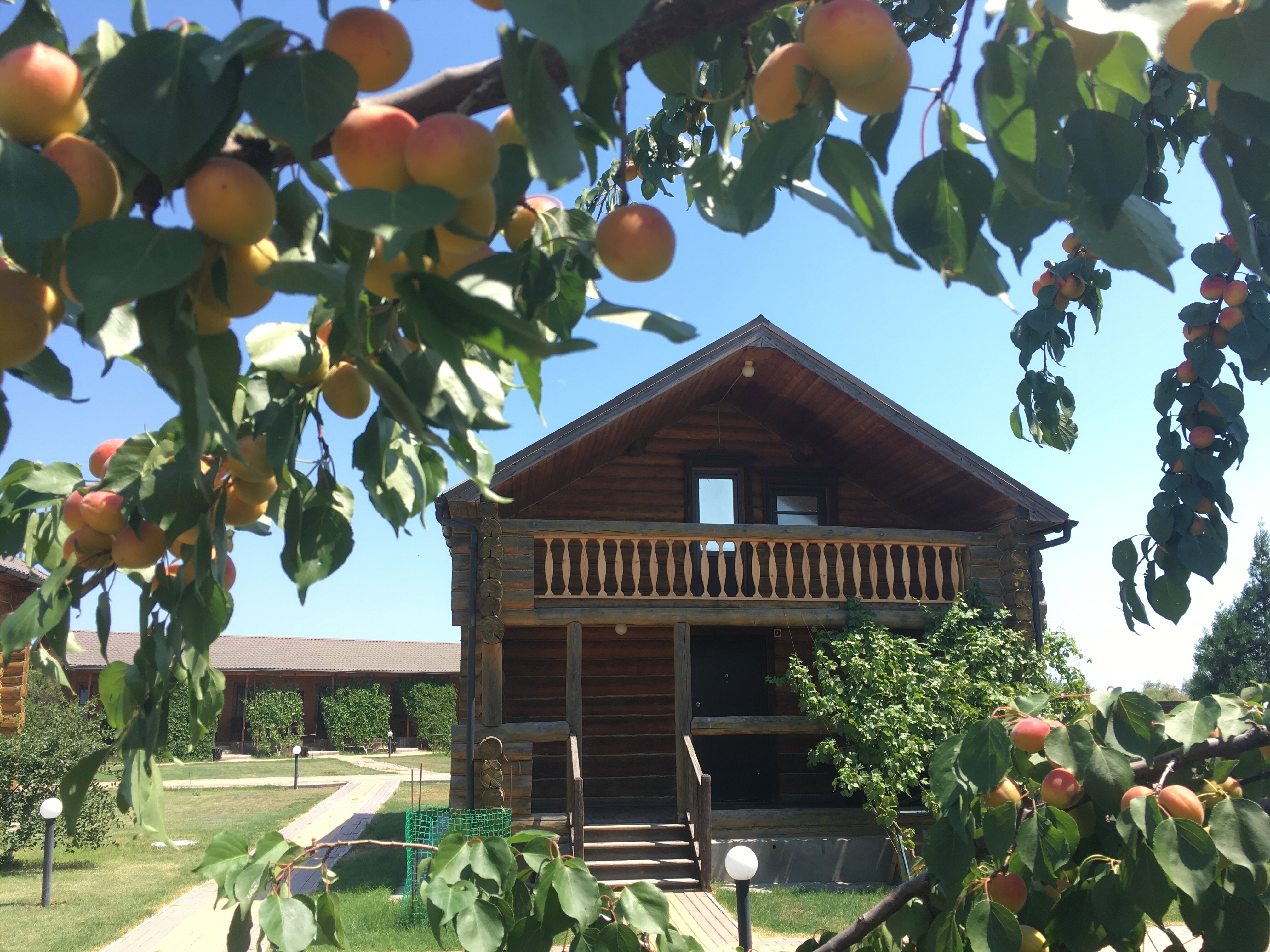 Фото Ладейная