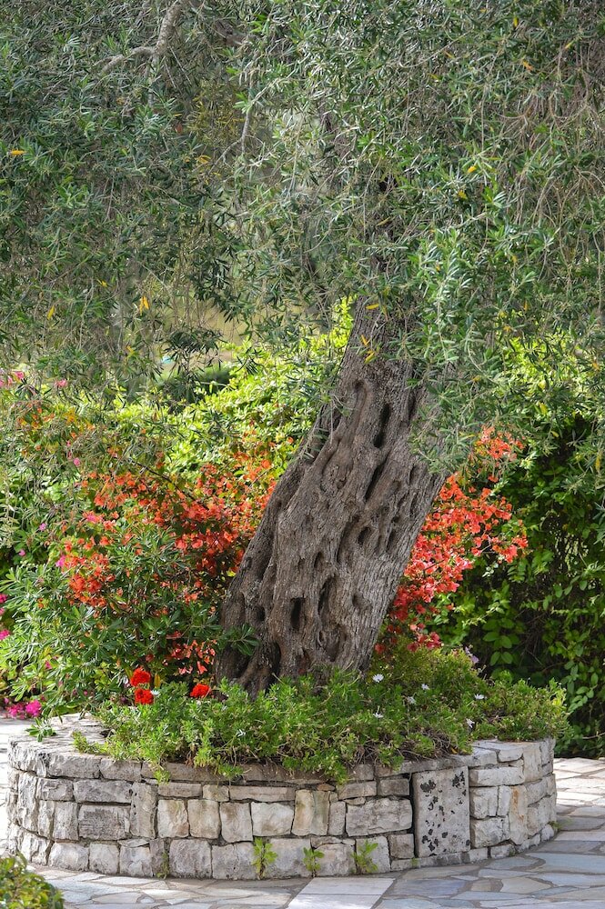 Фото Paxos Club Resort & SPA