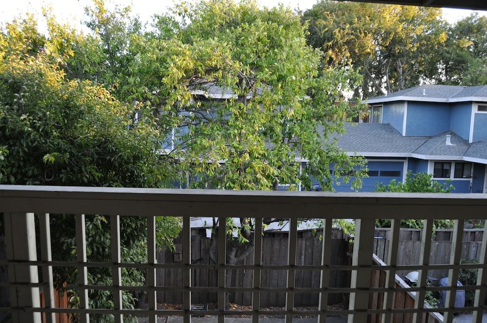 Фото Chips and Salsa