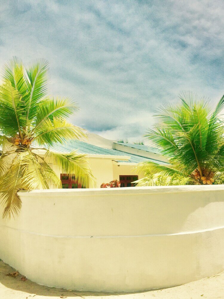 Фото Гостевой Дом Maclura Residence