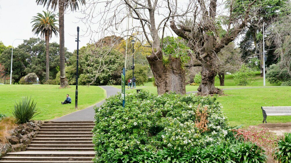 Фото Elegant Apartment With City View