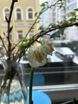 Доходный дом К.Г. Ершова (Martynova Embankment, 16) ، معلم جذب سياحي