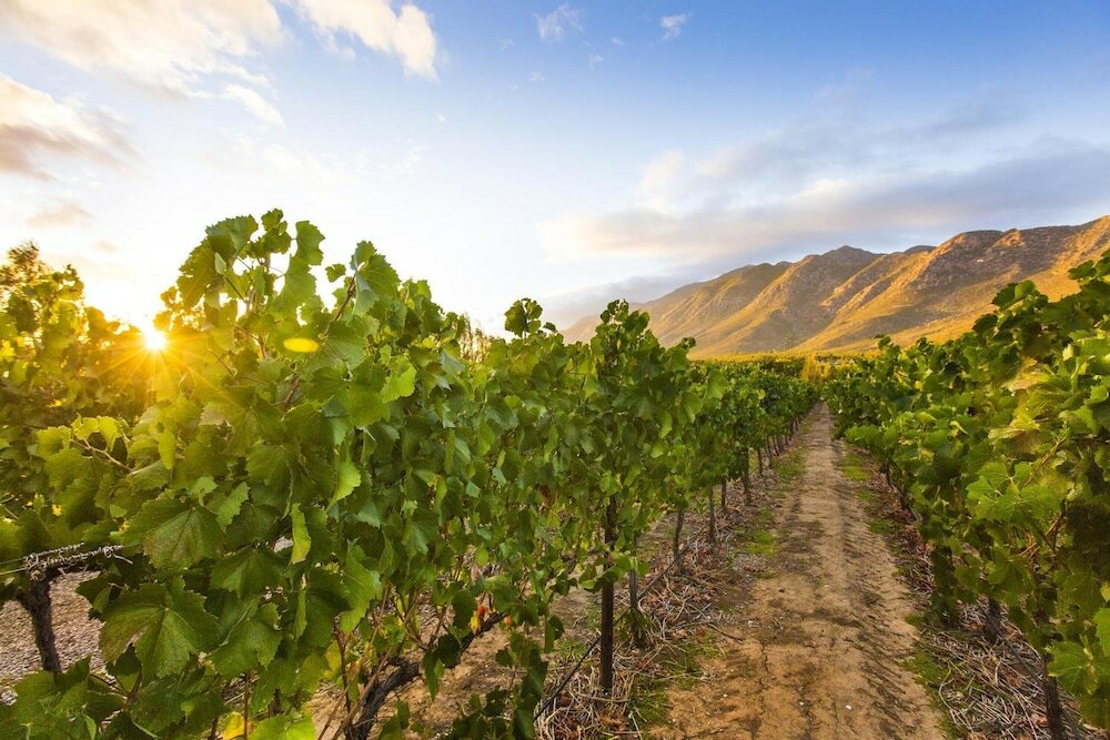 Фото Klein Nektar Manor