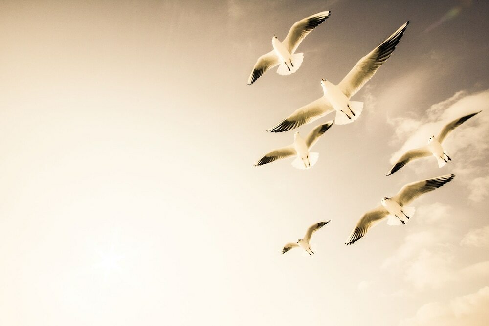 Фото Dock Inn Hostel Warnemünde