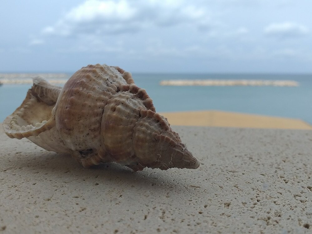 Фото Xristinas Apartments