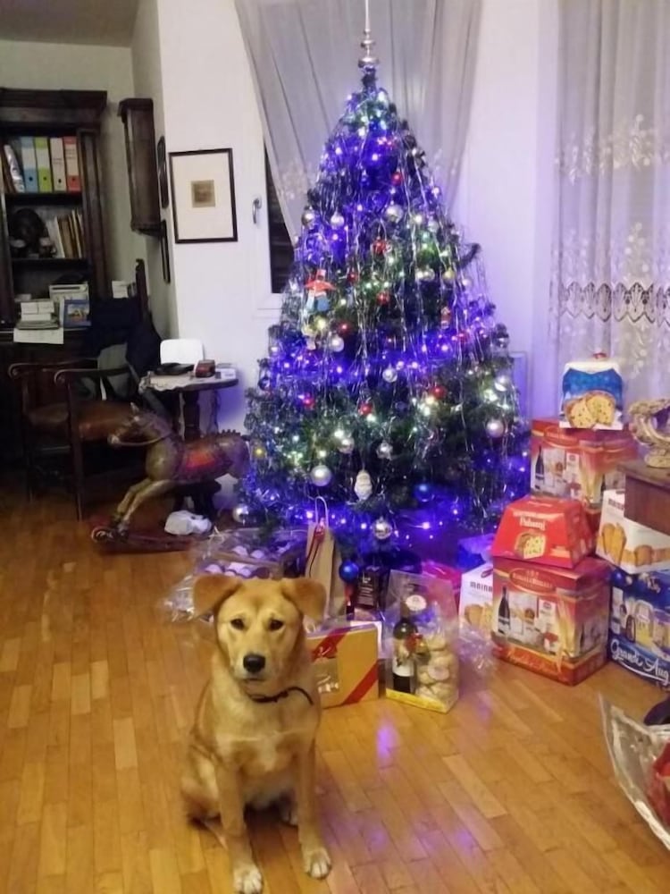 Фото B&b Casa dei Camini