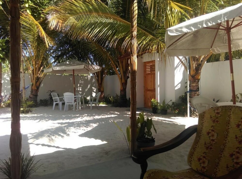 Фото Palm Garden