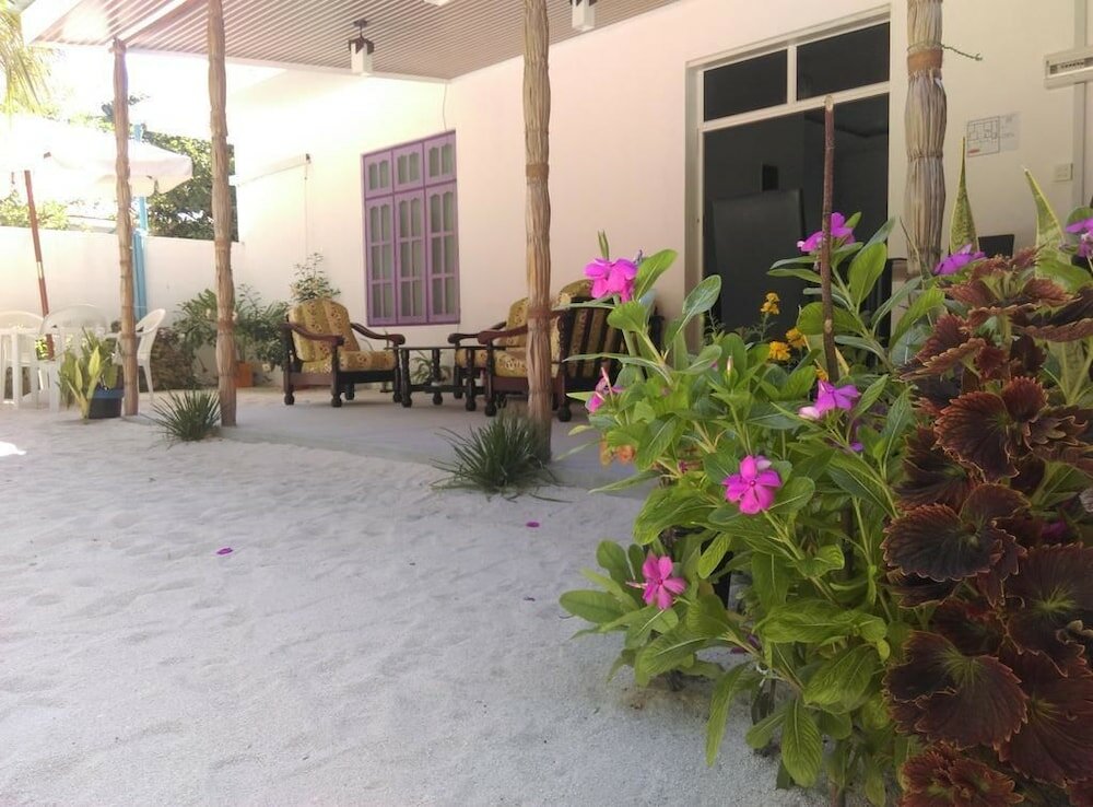 Фото Palm Garden