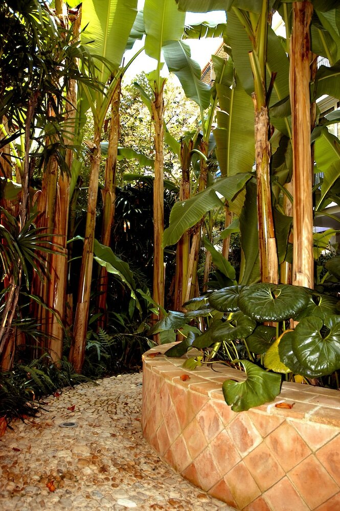 Фото Hotel Napoleon