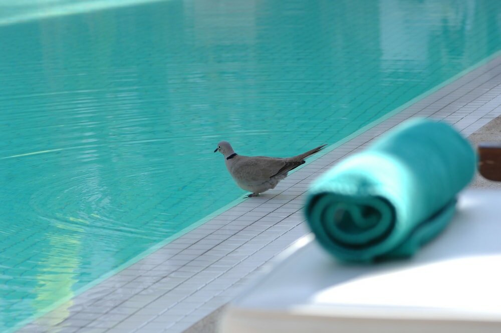 Фото Les Jardins De La Medina