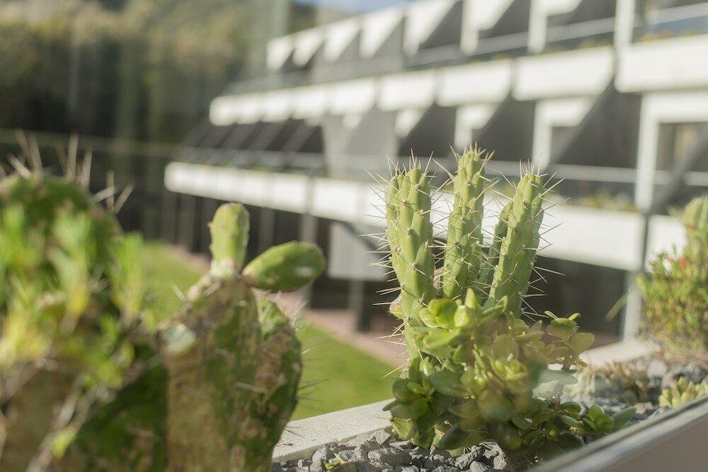 Фото Caloura Hotel Resort