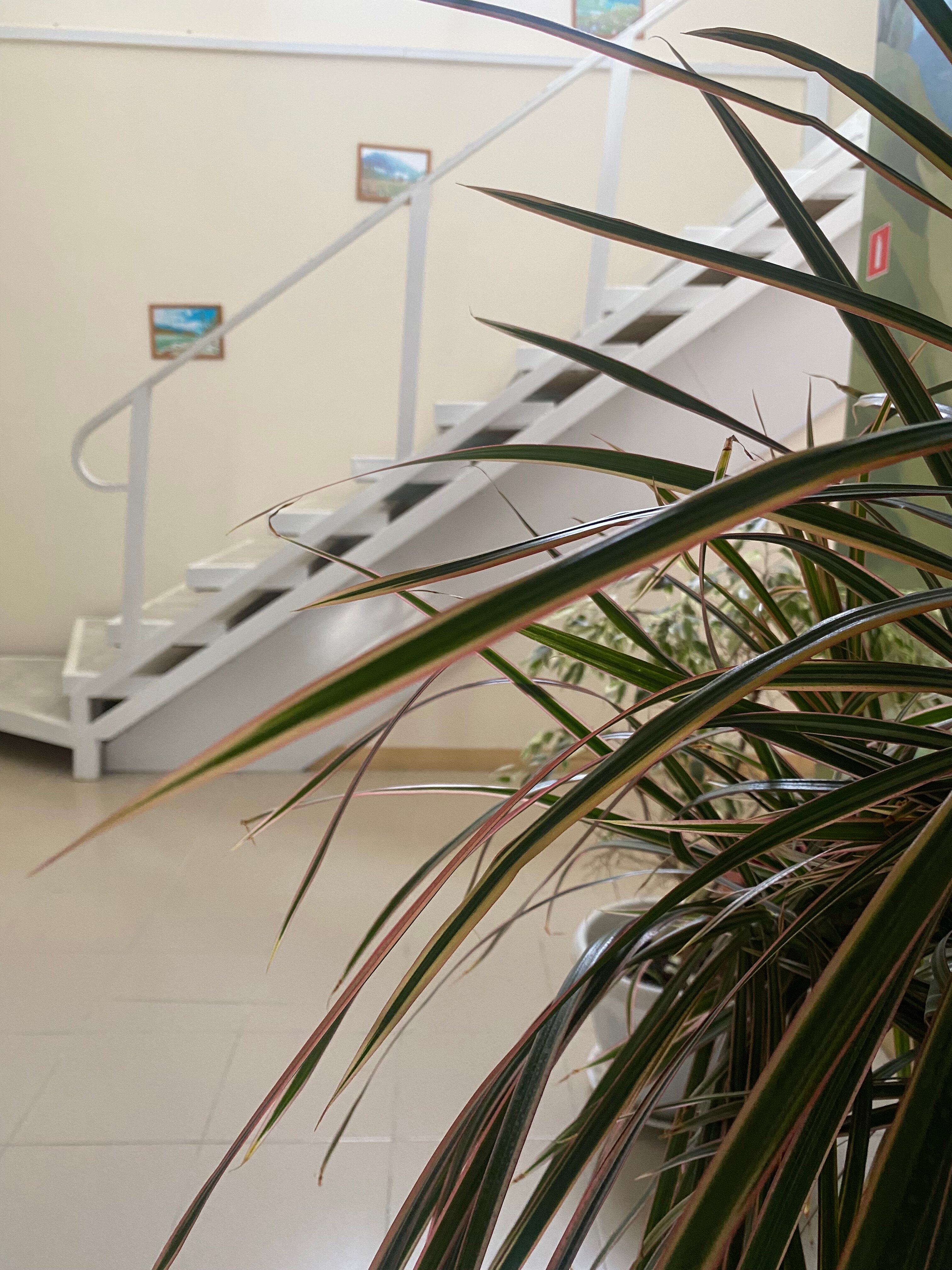 Фото Тихая Гавань