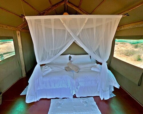 Гостиница Suricate Tented Lodge