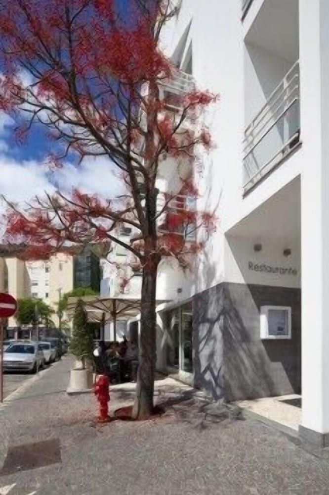 Фото Hotel White Waters