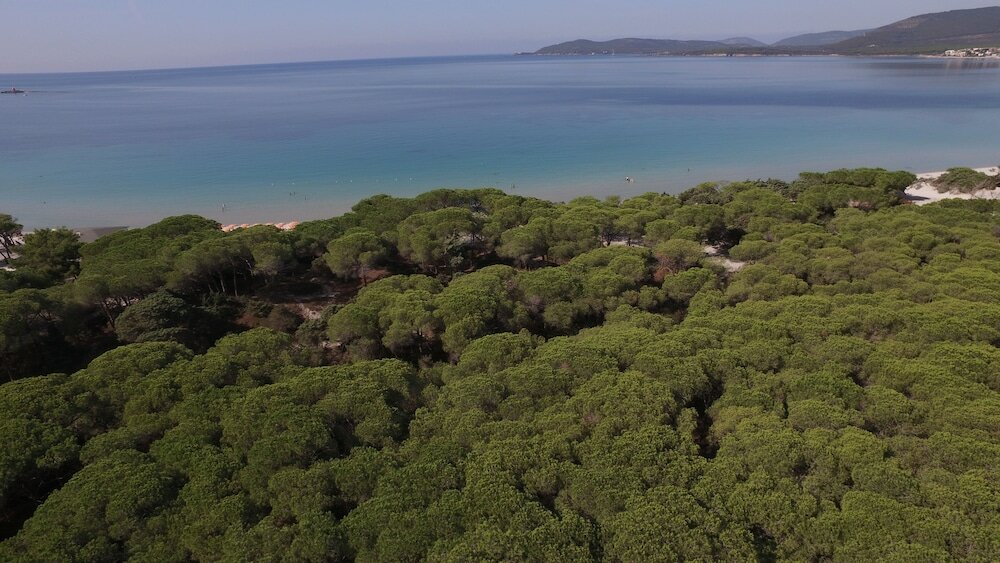 Фото Hotel Oasis