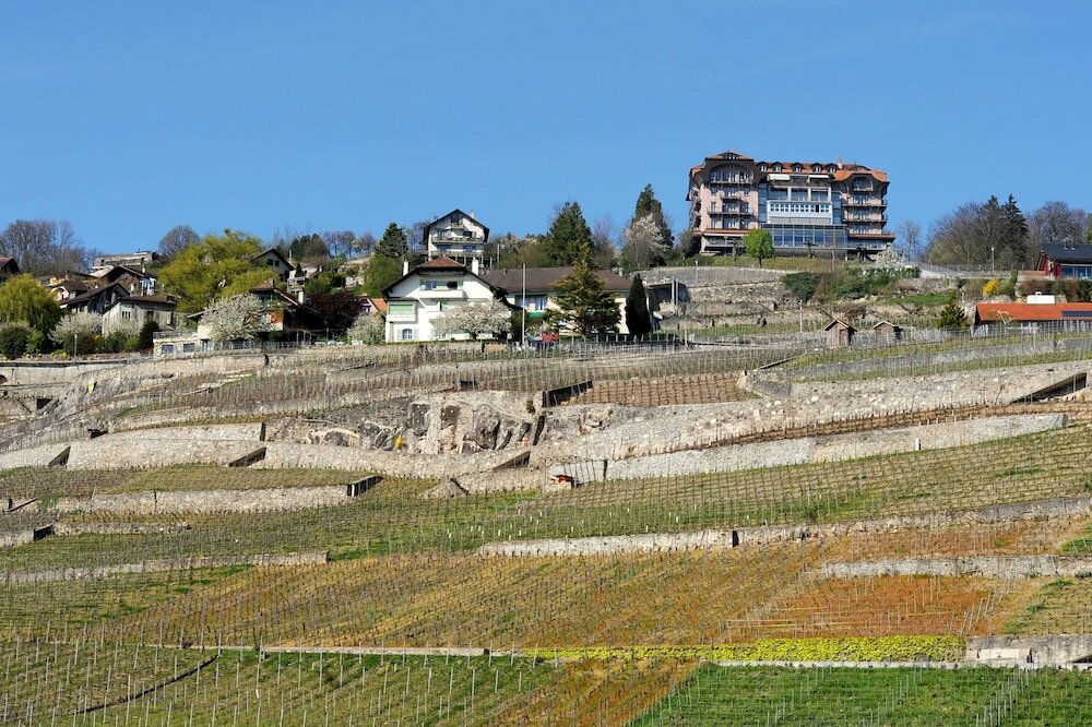 Фото Hotel Préalpina