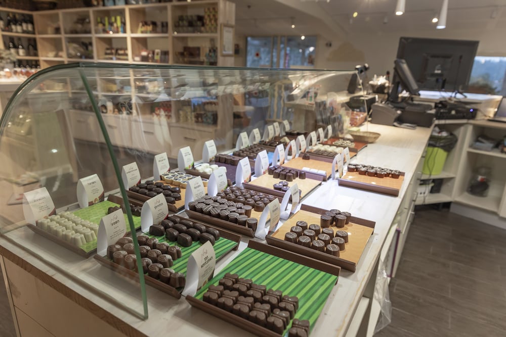 Фото Tzuba Hotel