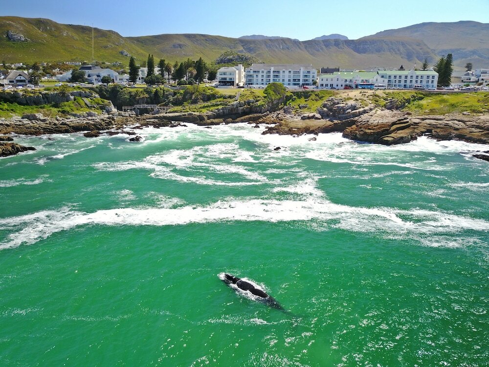 Фото Windsor Hotel