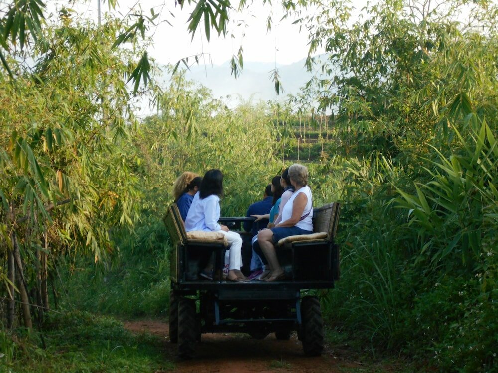 Фото Phu Chaisai Mountain Resort