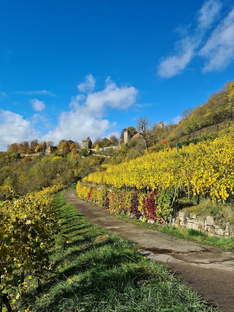 Фото Boutiquehotel Goldene Rose