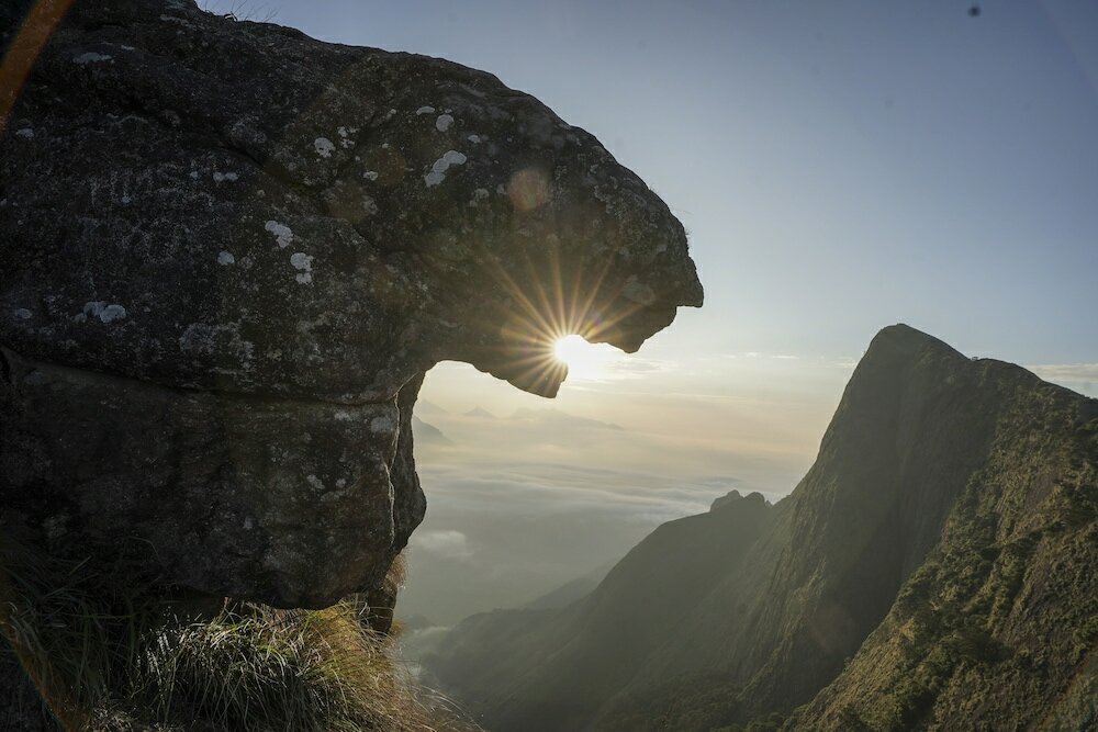 Фото Tea Valley Resort