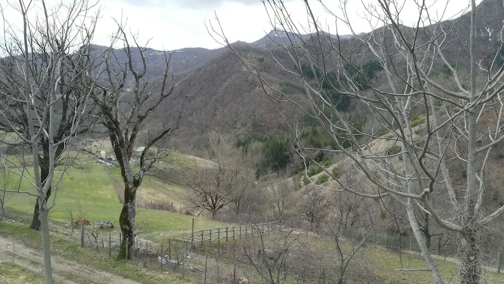 Фото Agriturismo Antico Frutto