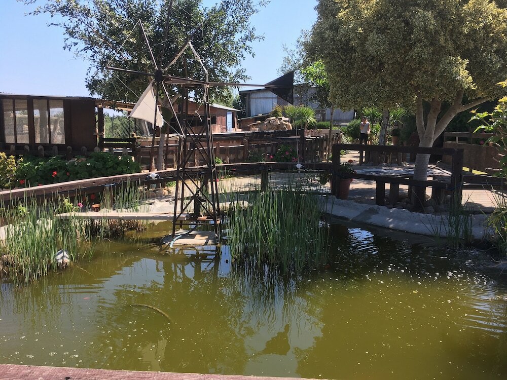 Фото Arion Stables & Apartments