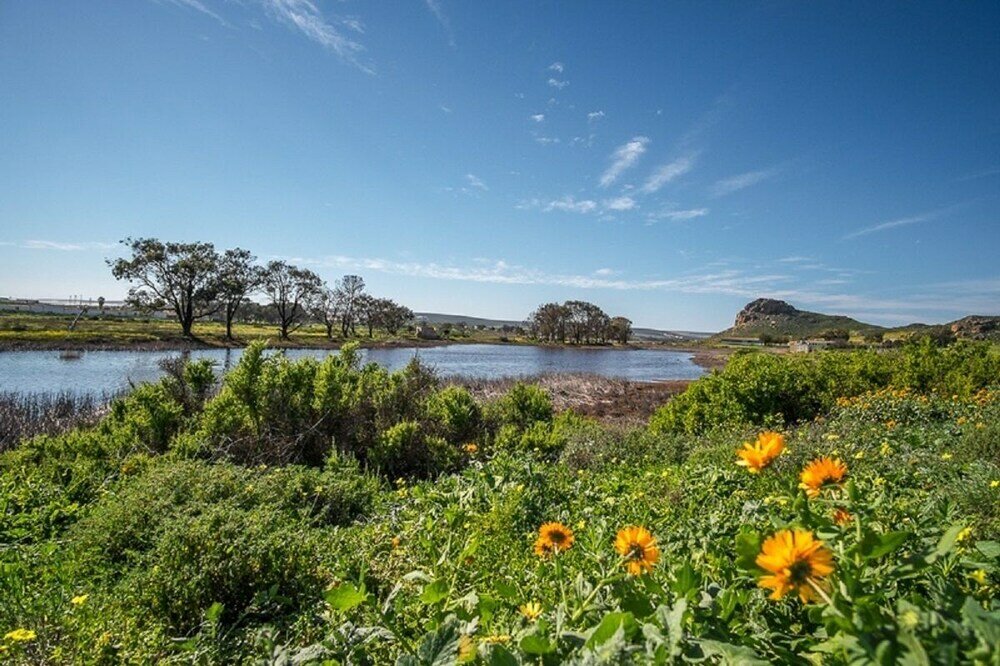 Фото Fork West Apartments - Top Floor 5